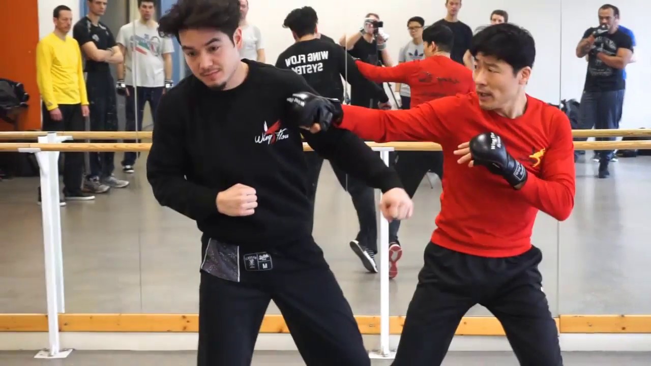 Sifu Mark Stas - Wing Flow system - 17-18 Mars 2018