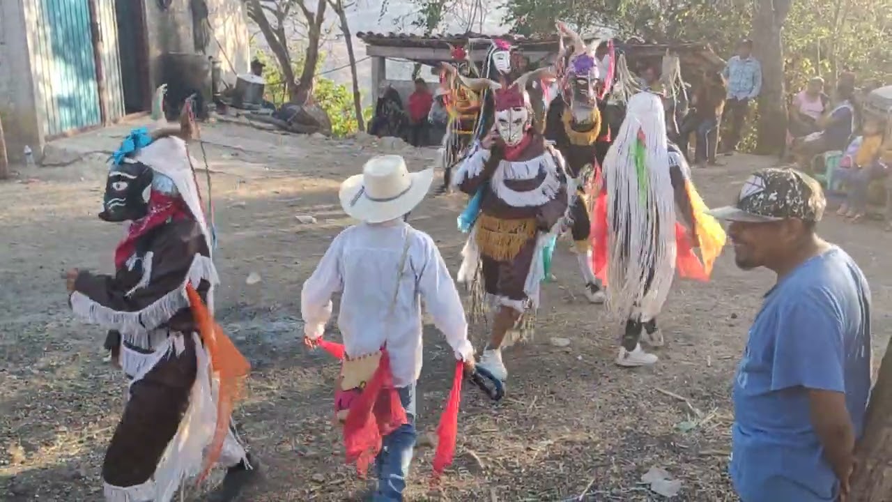 Danza de los chivos baile completo Tlamixtlahuacan Guerrero