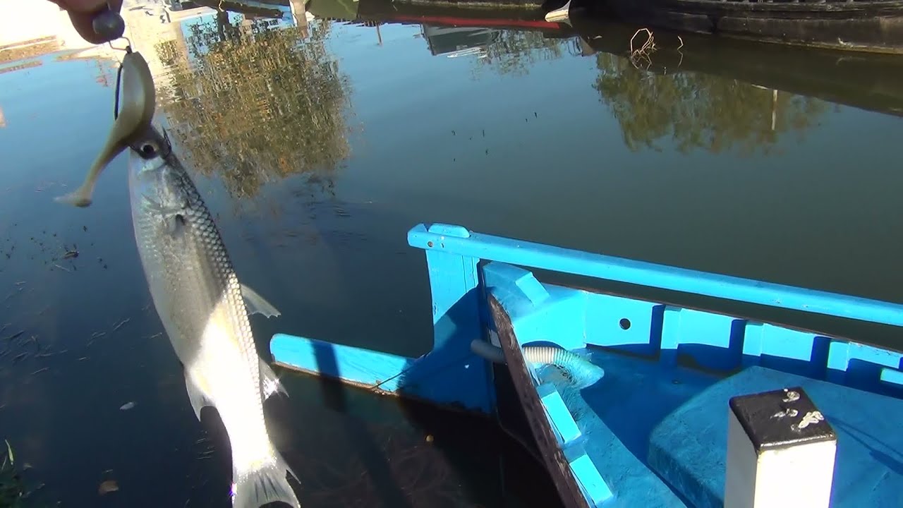 PESCA EN VALENCIA, RIO TURIA,PUERTO DE CATARROJA Y SILLA, PLAYA PINEDO, DUCATI MG20, VALENCIA ESPAÑA