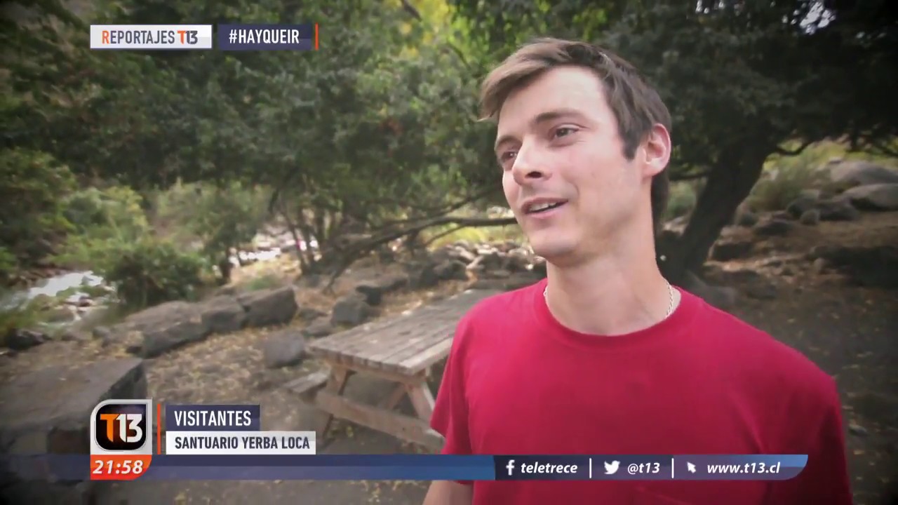 Yerba Loca #HayQueIr