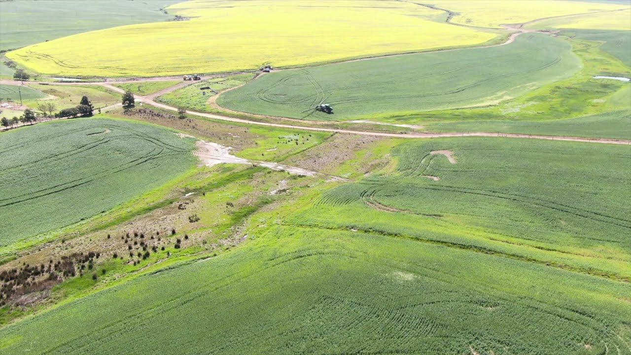 Farming in Overberg - Drone footage from the breadbasket of the Western Cape in South Africa