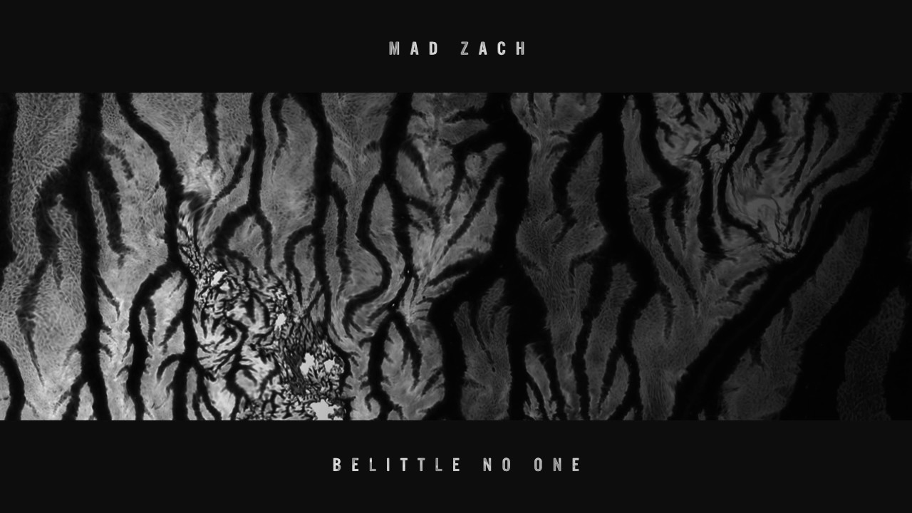 Mad Zach - Belittle No One