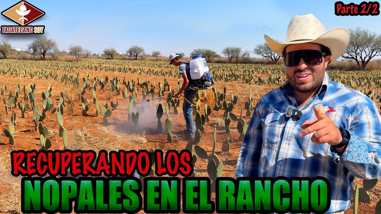 QUE PASÓ CON LOS NOPALES en el Rancho Los Leones