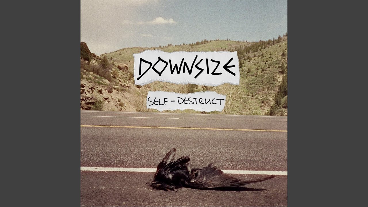 Self-Destruct