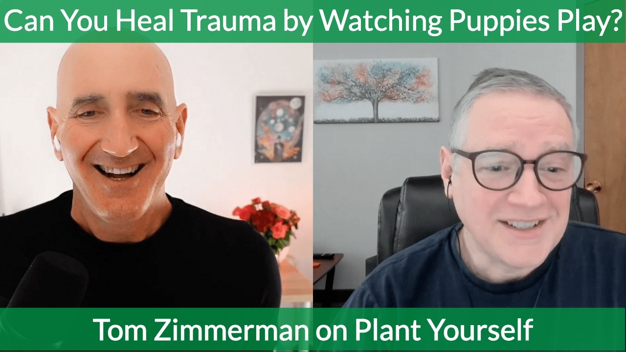 Can You Heal Trauma by Watching Puppies Play?: Thomas Zimmerman on PYP 630