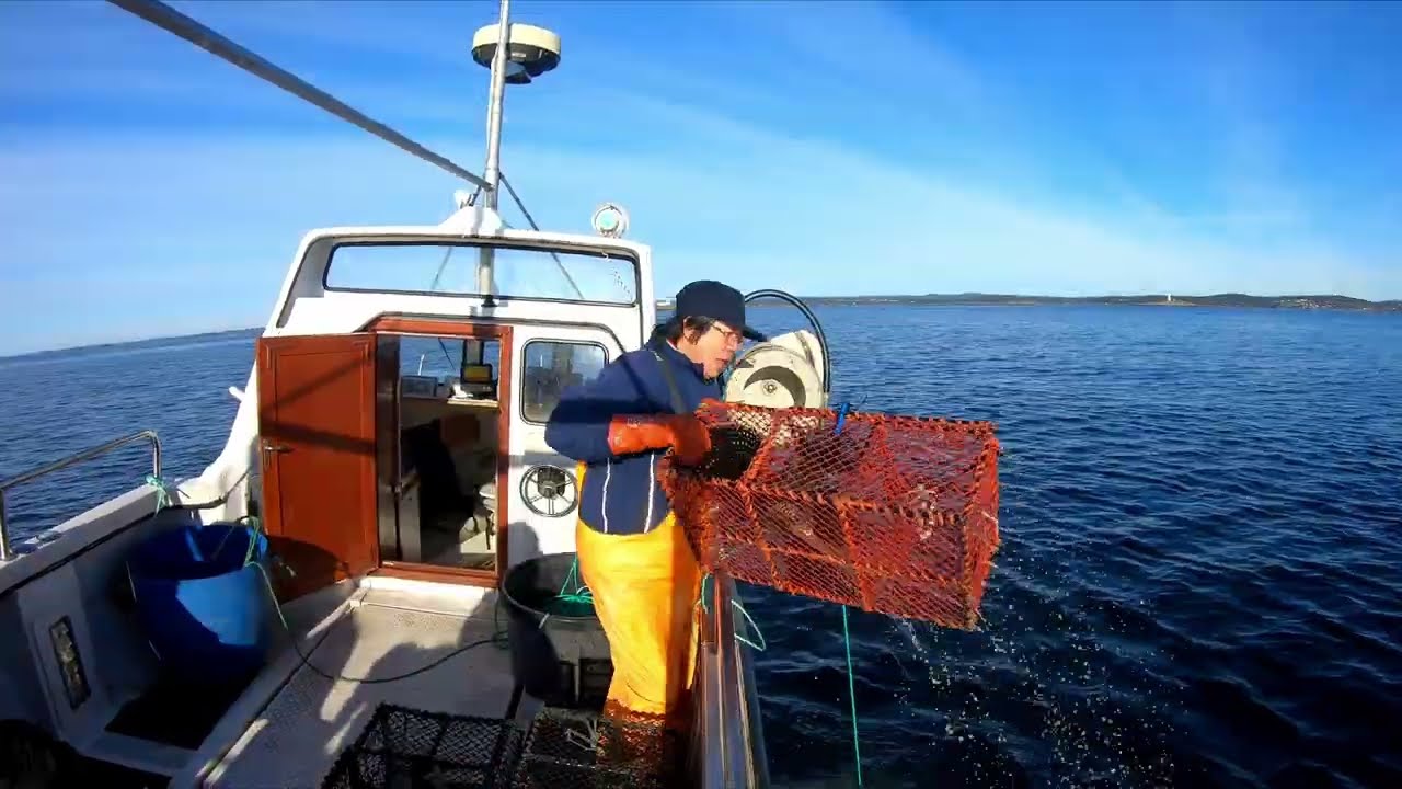 Krabber og Kreps SØRLANDET 2022