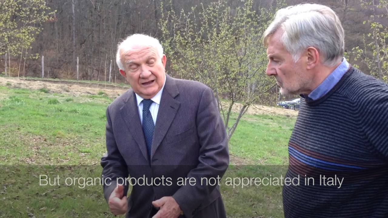 Babarolo meets  Altalanga