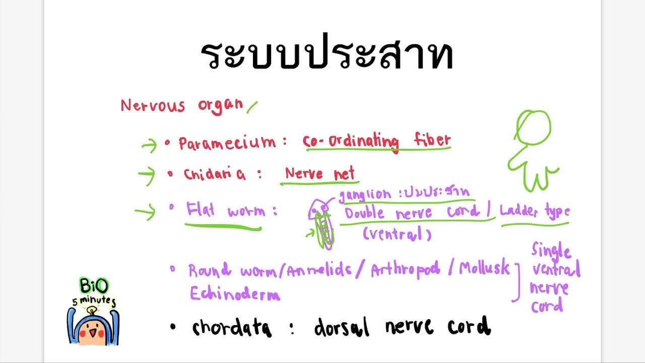 2 Nervous organ in animals