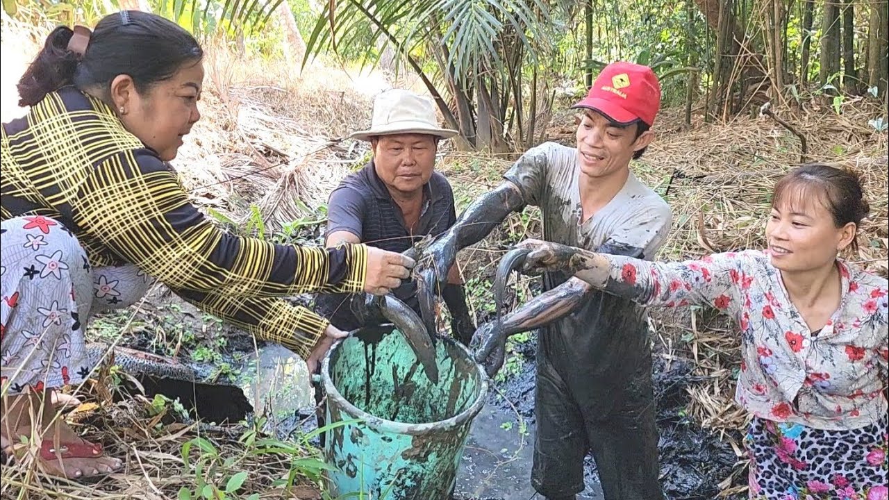 Bất Ngờ Phát Hiện Mương Cá Cạn Cả Nhà Nhào Xuống Bắt Đã Tay | BQCM & Family T648