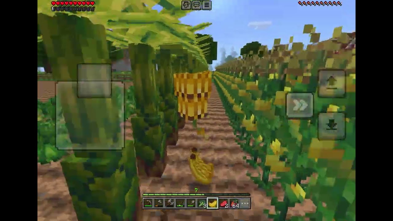 Farm in Minecraft 4 😃