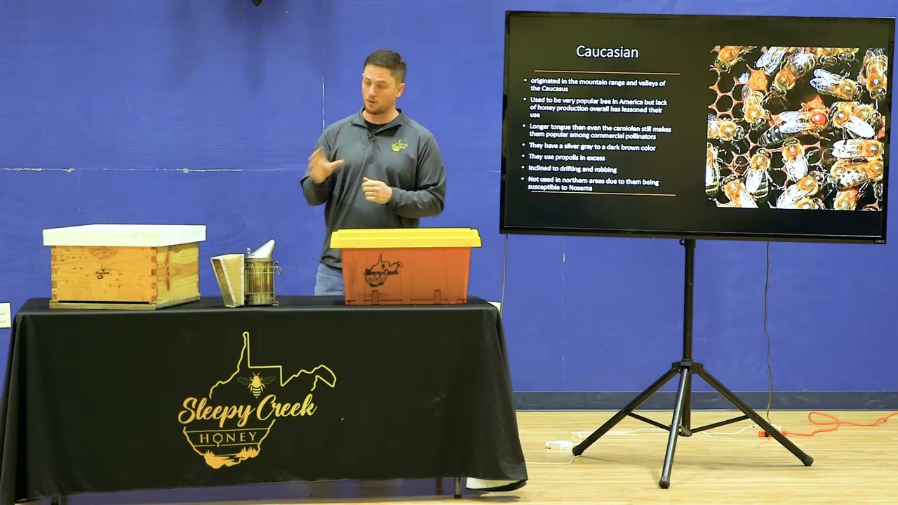 Honey Bee Biology, Class 2
