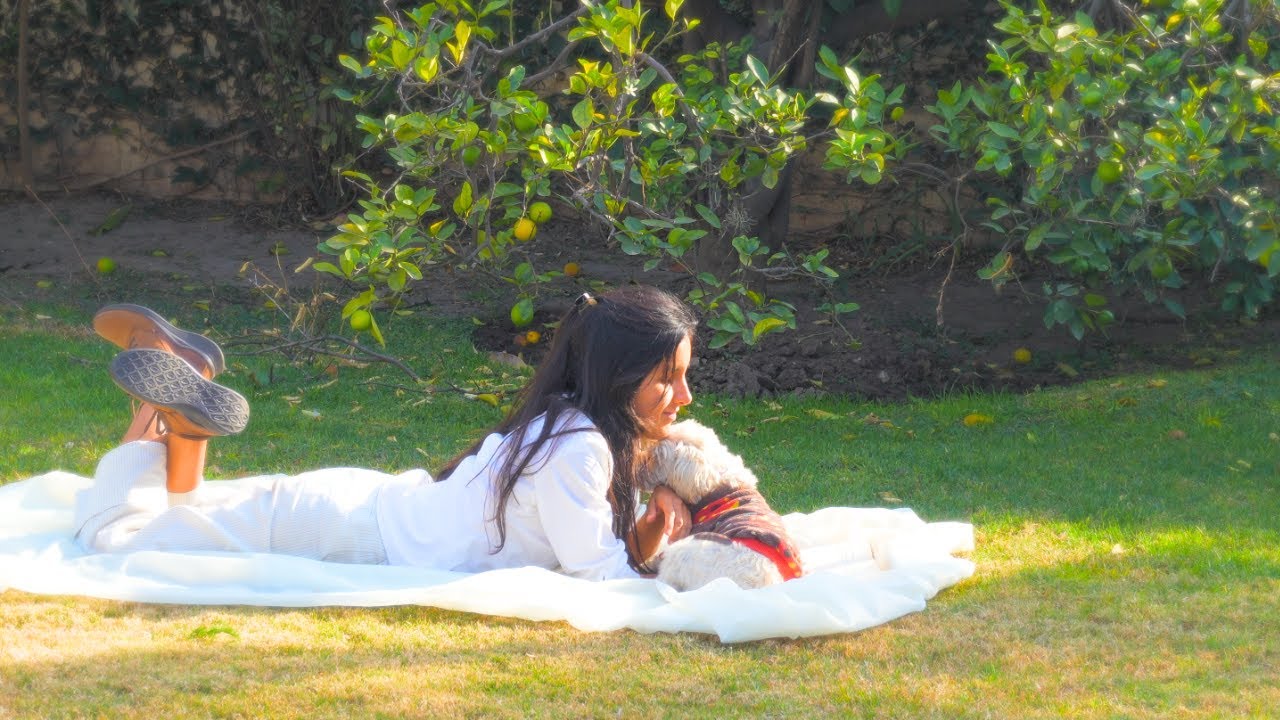 The Art of Living a Simple Life  🍃 Garden Therapy & Slow Days in Mexico