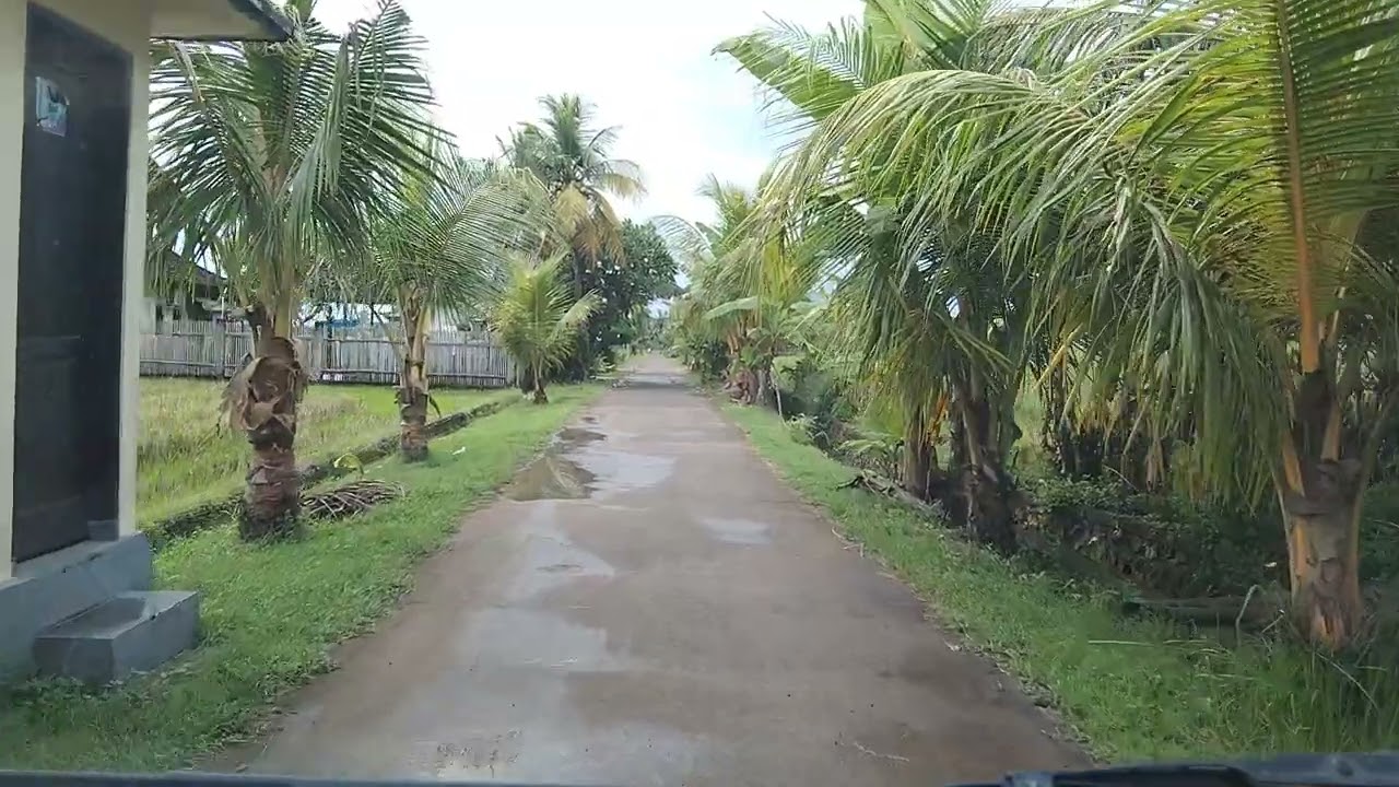 Jelajahi pantai pulukan calon pesaing pantai canggu dekat pantai medewi jembrana bali