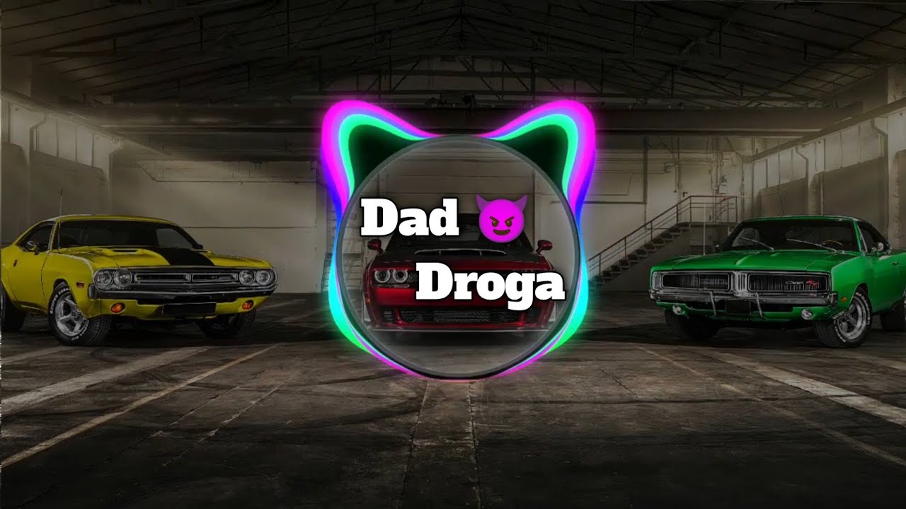 Dad Droga Mashup | The Gangster | Mashup | Punjabi Song Mashup | Dad Droga Slowed Reverb 😈