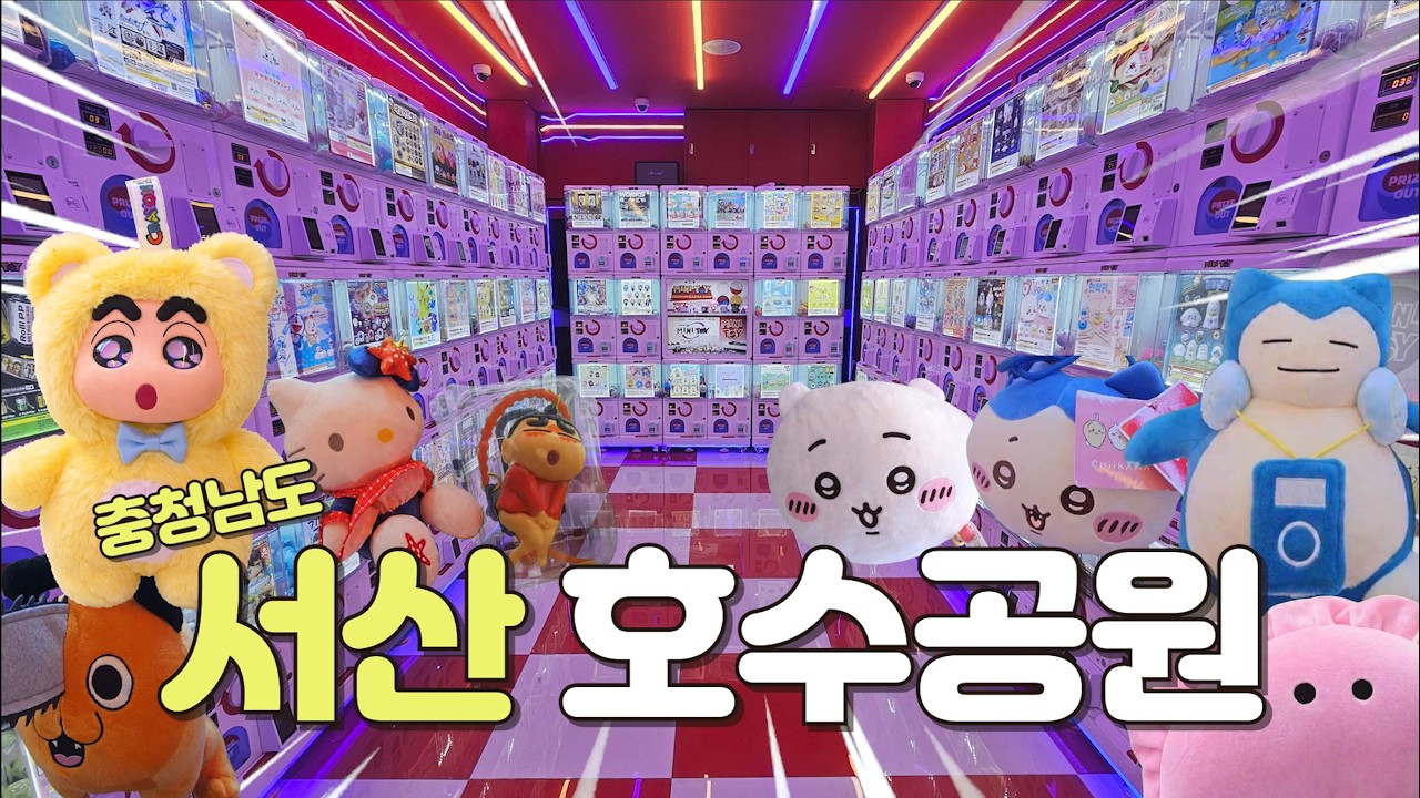 5시간 운전해서 도착한 도시! 서산은 과연...?  | 전국 뽑기 투어 | 서산 하늘공원 | 뽑기 꿀팁 | 뽑기 잘하는 법