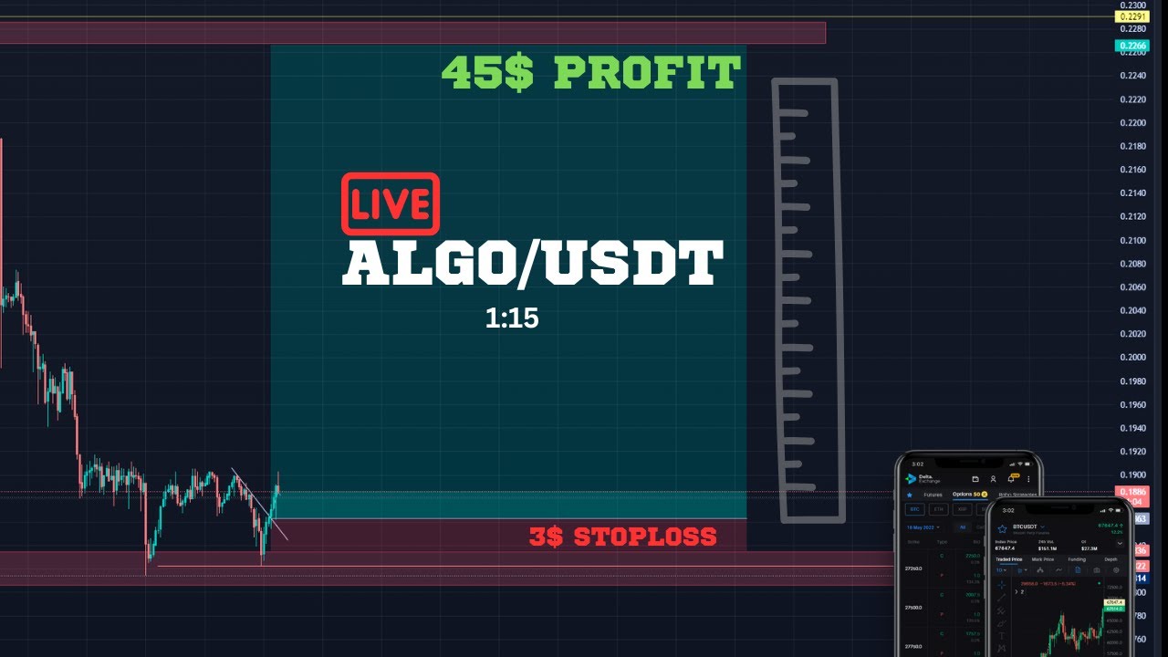 🔴LIVE ALGOUSDT High Reward Support Trading