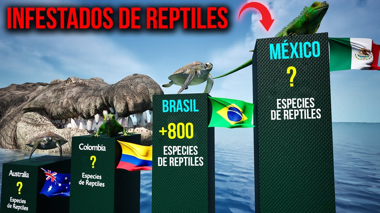 LOS PAÍSES CON MÁS REPTILES DEL MUNDO - Te sorprenderá el #1