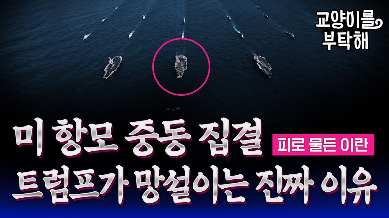 [지식뉴스] 