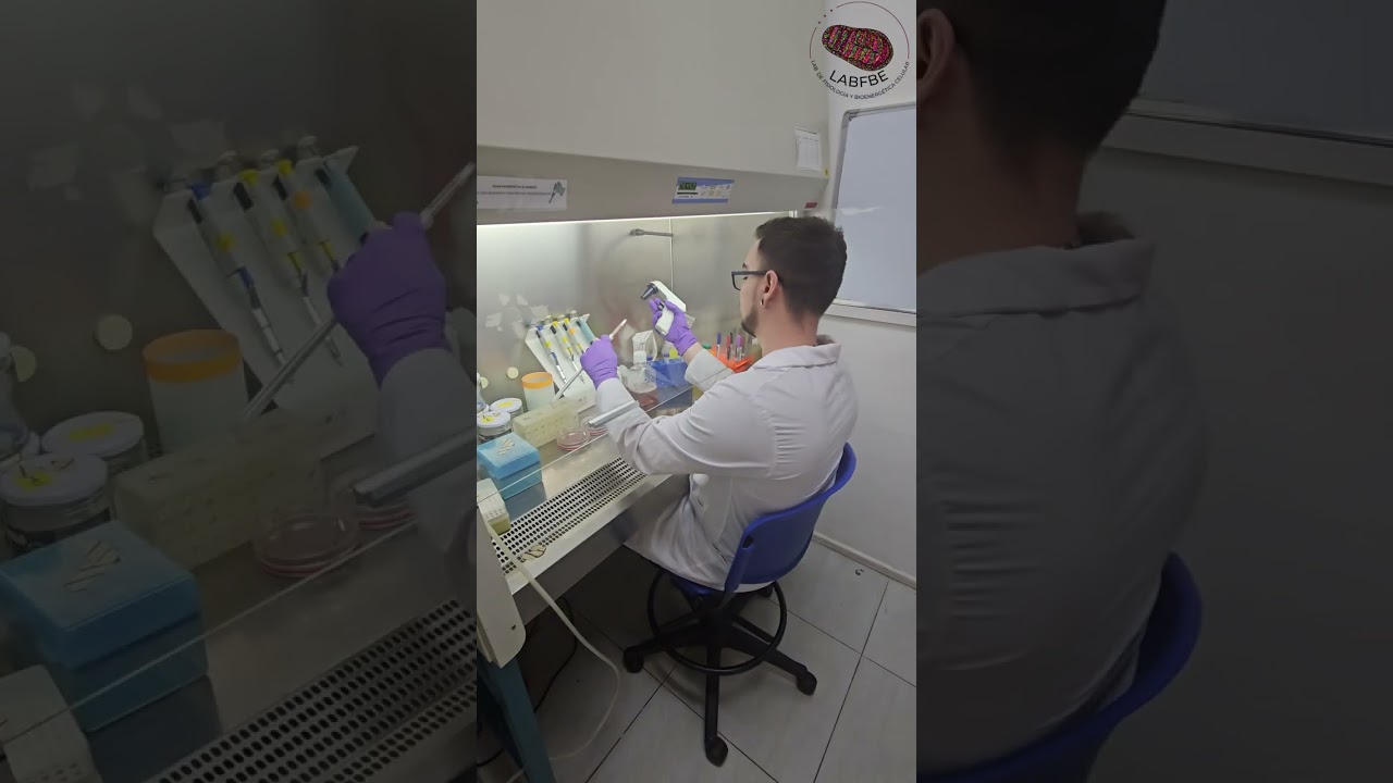 Inhibidores de autofagia: Pirimidinas trisustituidas como coadyuvantes en quimioterapia - VIU 2025