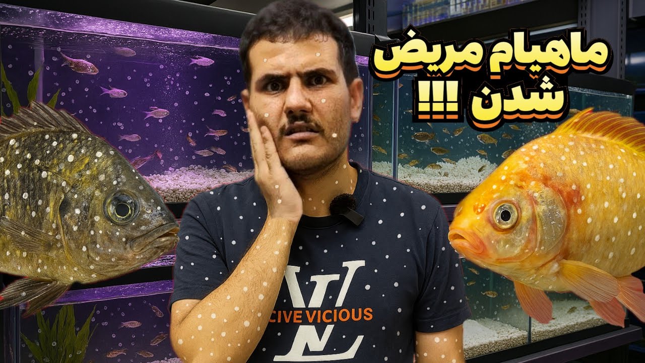 وحشتناک ترین مریضی ماهی رو اینجوری از بین ببر مریضی ایک ( سفیدک ماهی )
