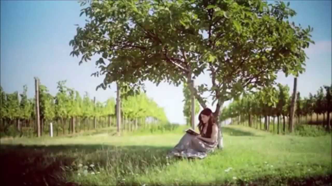 Bonfeel Electro Band--Tonight--Original Mix 2015