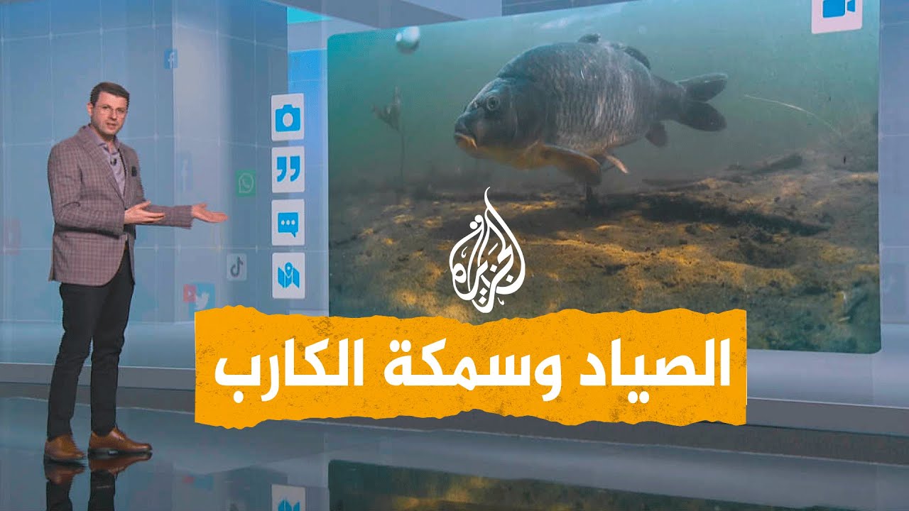 شبكات | صياد سوري يطلق سمكة عملاقة بسبب بيضها