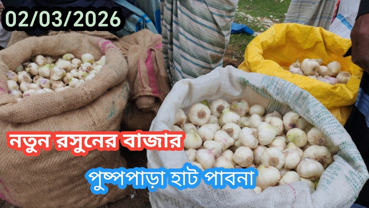 2 March 2026 আজকের নতুন রসুনের বাজার দর। পুষ্পপাড়া হাট পাবনা। Garlic market price rate in pabna.