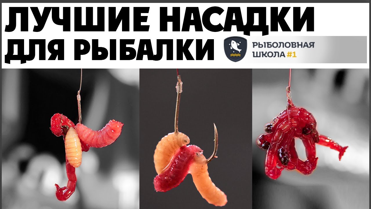 Насаживай червя на крючок правильно. Рыбалка на фидер 2023.