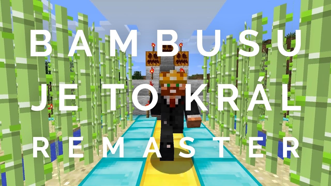 BAMBUSU JE TO KRÁL (remaster) – Wadní bratři