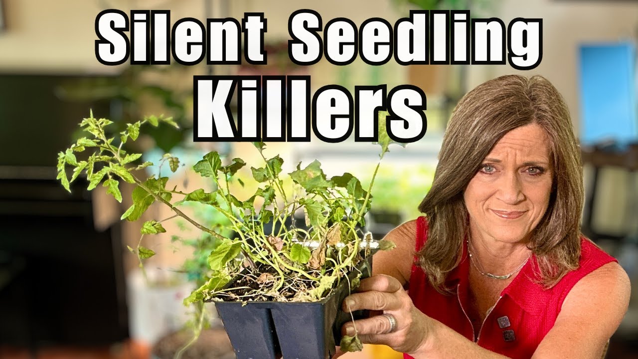 4 Silent Killers Destroying Your Indoor Seedlings Right Now