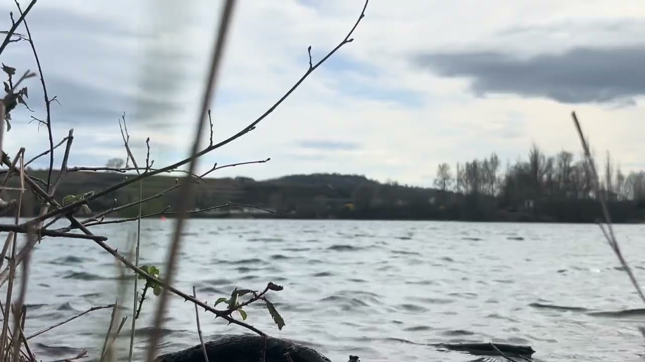 Самая большая ложь, которую нам внушили. 