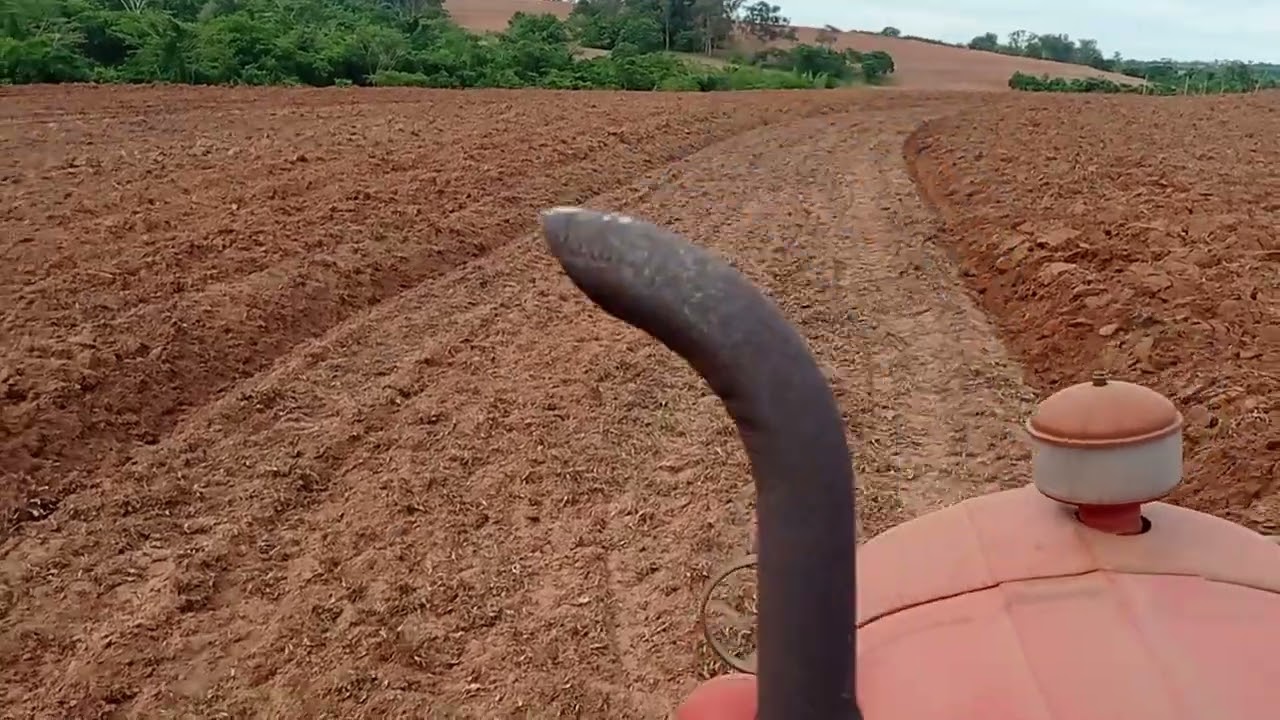 TOMBANDO COM O MASSEY FERGUSON 50X MAIS PREPARAÇÃO DE TERRA
