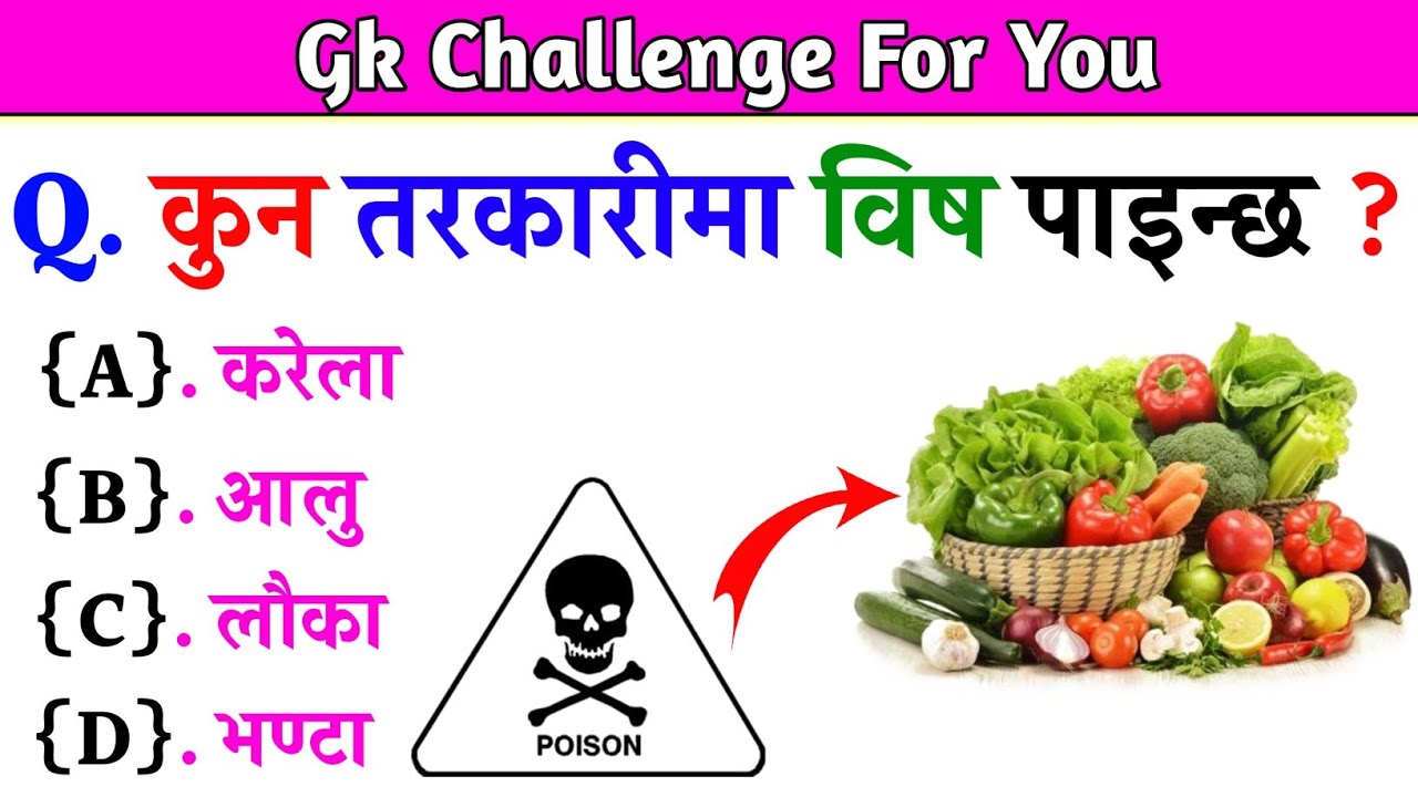 📚 Nepali GK Questions and Answers | PART 804|General Knowledge in Nepali