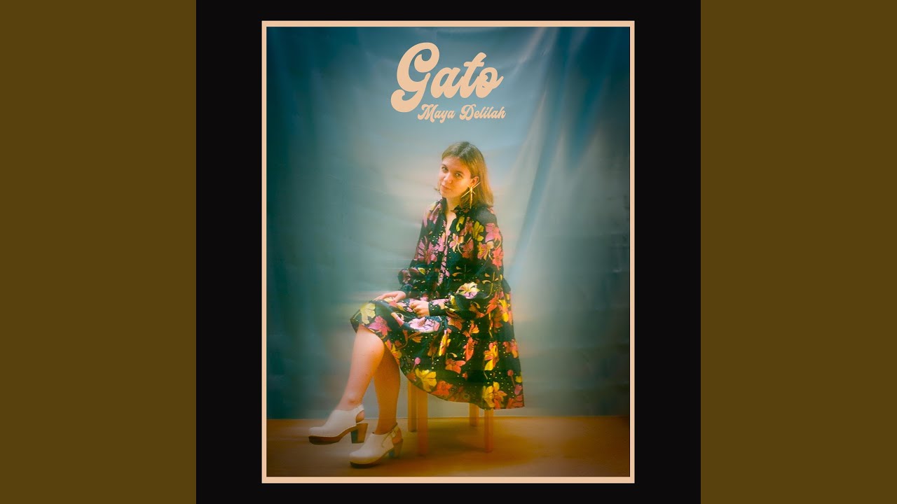 Gato
