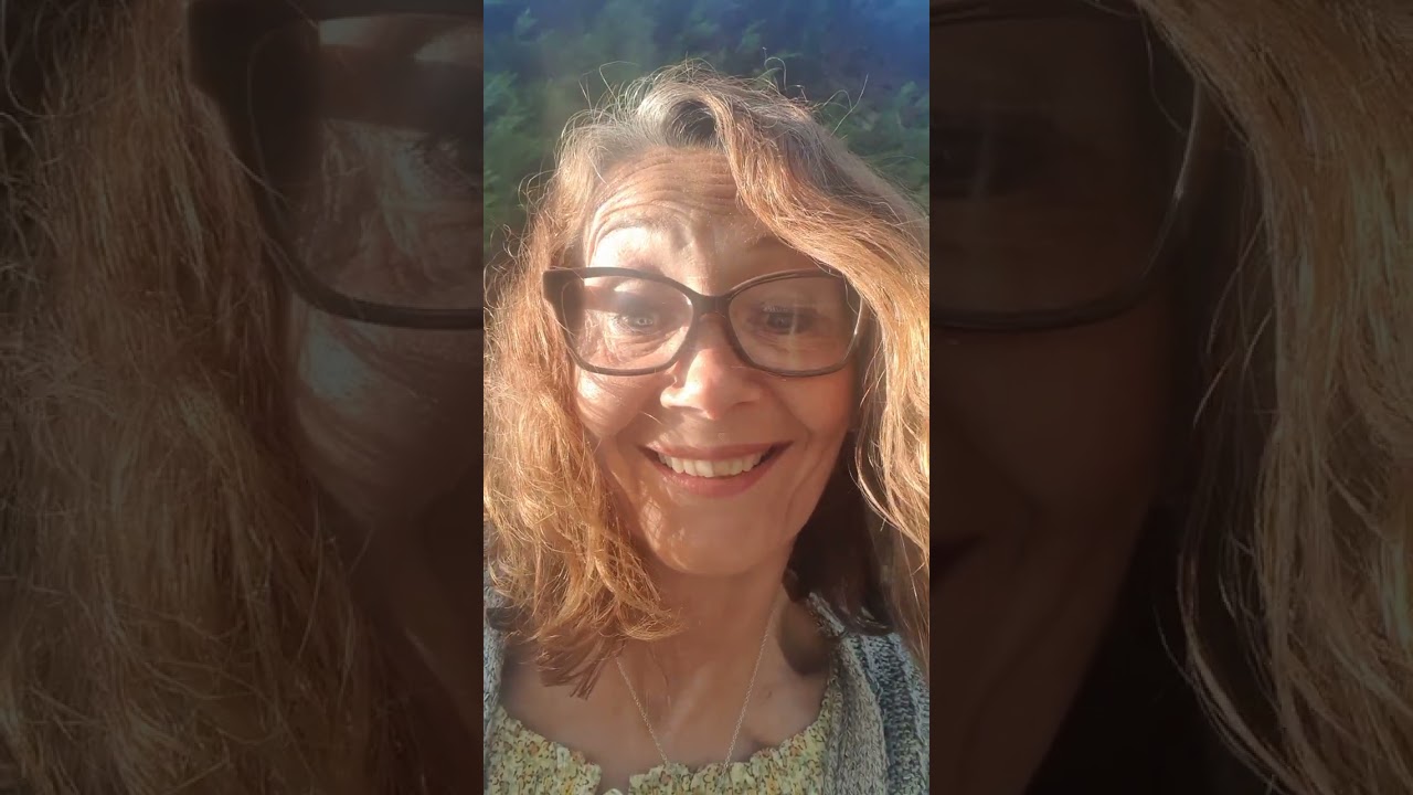 White Dead Nettles (Lamium Album) White Archangels💮 🤍