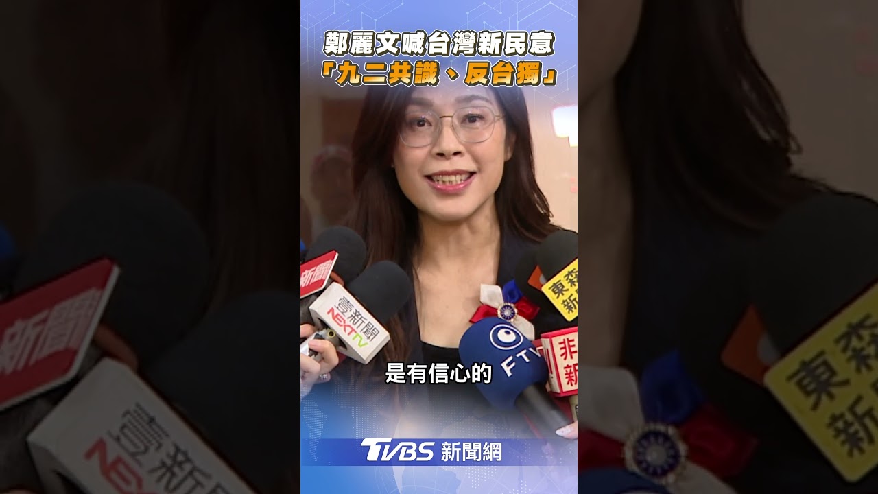 鄭麗文提「台灣新民意」   喊：九二共識反台獨會是主流｜TVBS新聞 #shorts