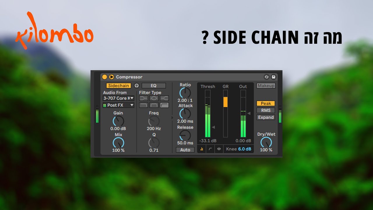 מה זה סיידצ'יין - Side chain