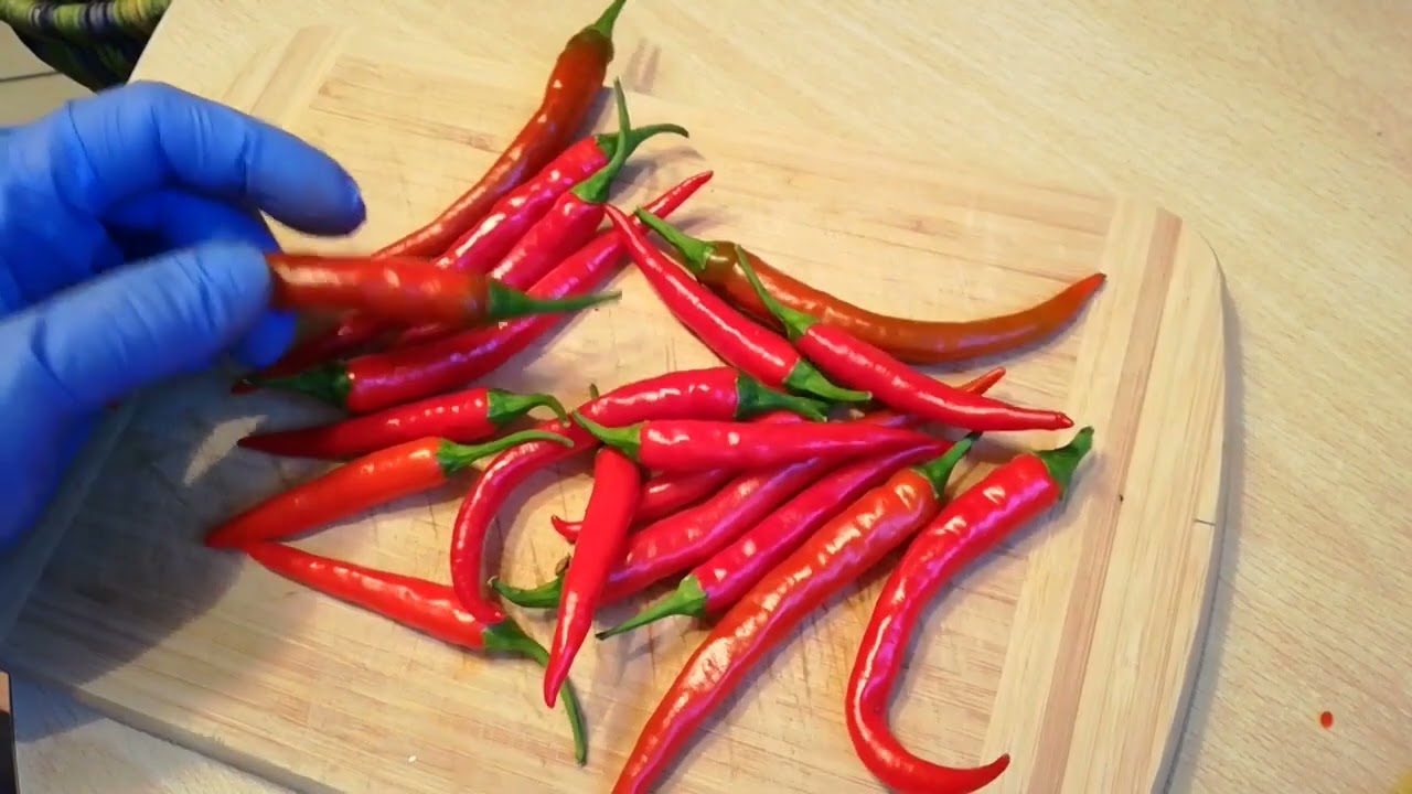 Chili-Sorten-Vorstellung Teil 6: Sugar Rush Peach (Stripey), Thai Dragon, Zing, Trepadeira do Werner