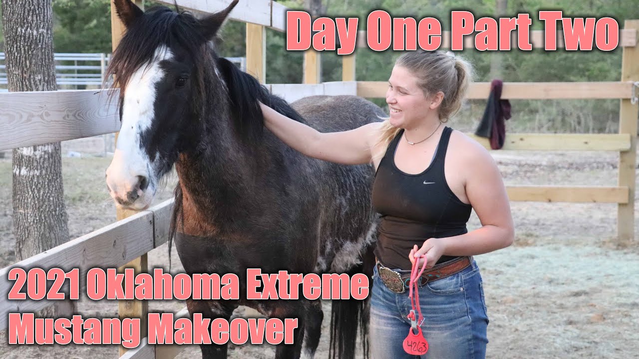 Wild Mustang Day One (part two) | 2021 Oklahoma Extreme Mustang Makeover Ep. 3