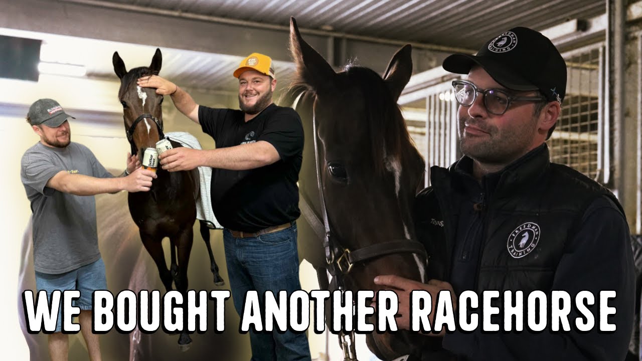 We Bought ANOTHER Racehorse (Cold Brew VLOG)