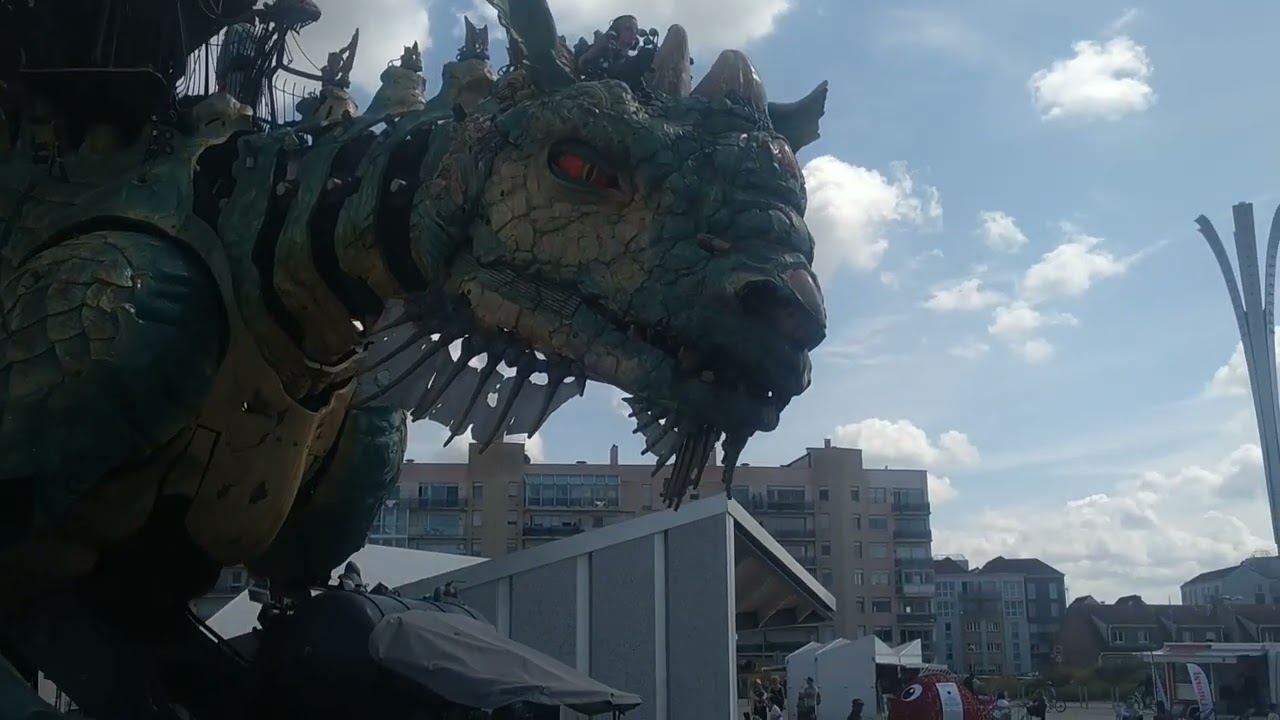 Le Dragon de Calais nous crache dessus 🤣🤣🤣🤣