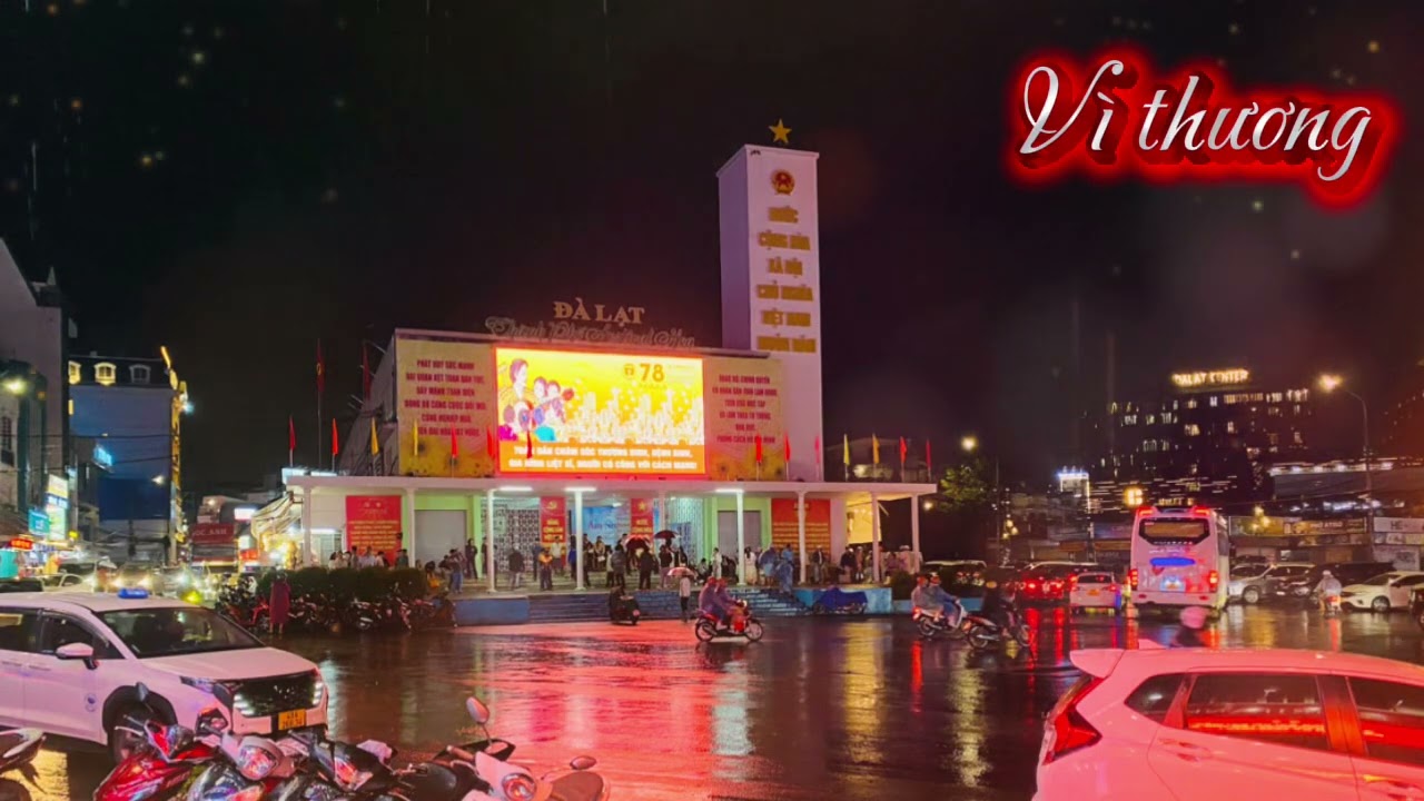 VÌ THƯƠNG || Nguyễn Phụng || bản quyền thuộc Nguyễn Phụng Premium