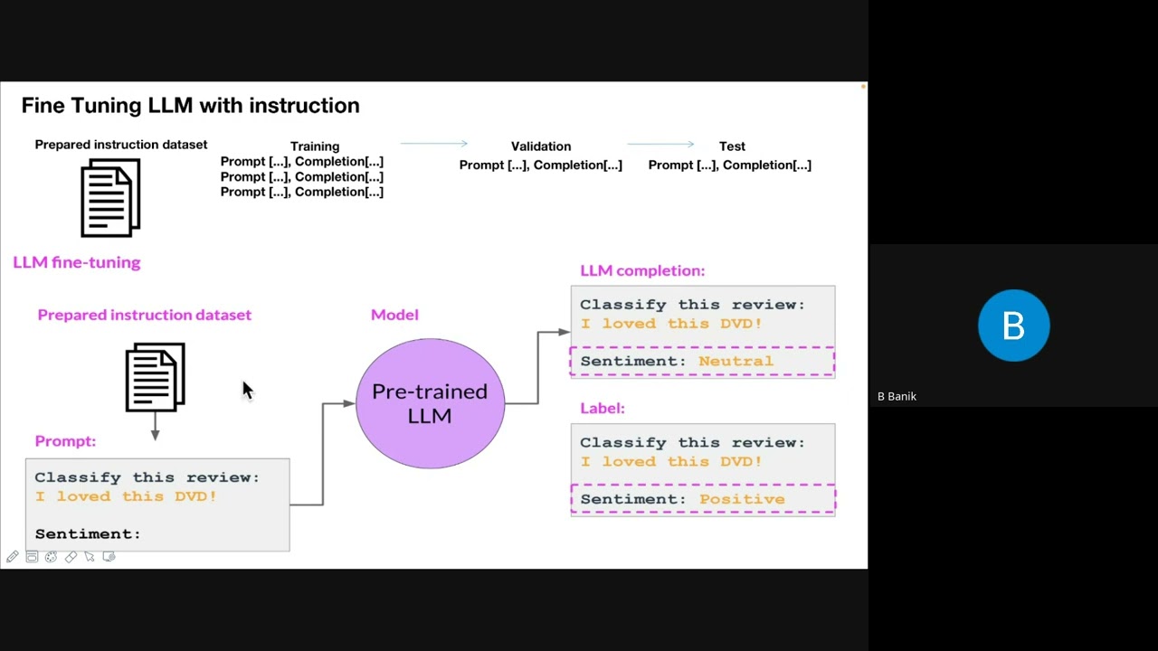 Generative AI - Techniques for Fine Tuning LLMs