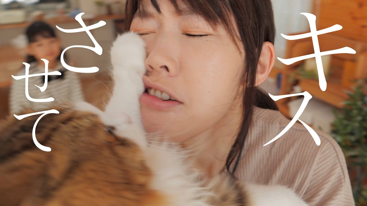 かわいすぎるもふ猫に家族でキスしまくったらこうなりました