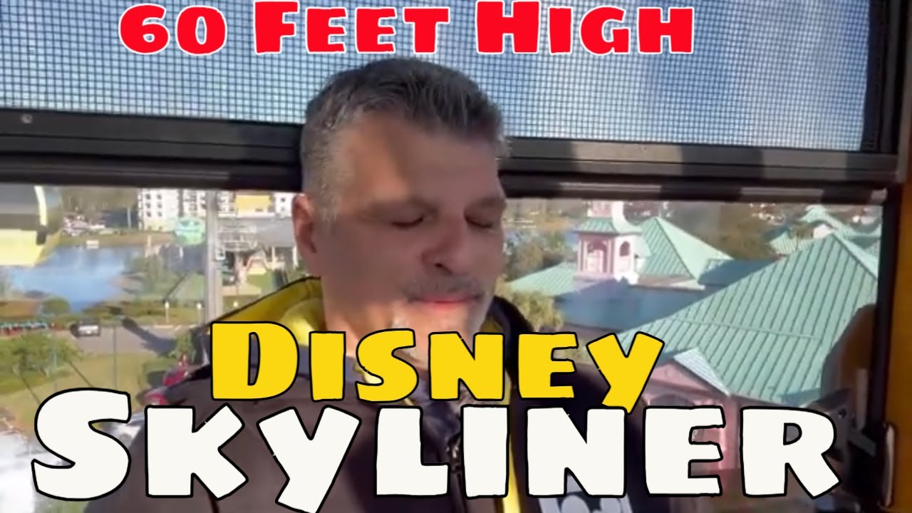 Disney Skyliner Adventure Soaring Through Magic