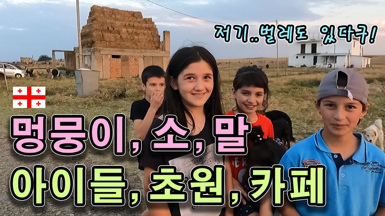 모든걸 다 갖춘 멍때리기 낙원. 조지아 극찬 시리즈 경신합니다. (Ft.작은엔딩) #66