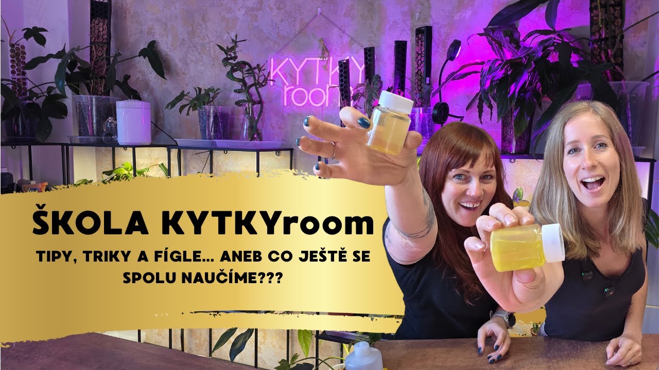 Škola KYTKYroom: Převozový substrát, kdy přesadit a proč ruce od něj pryč?