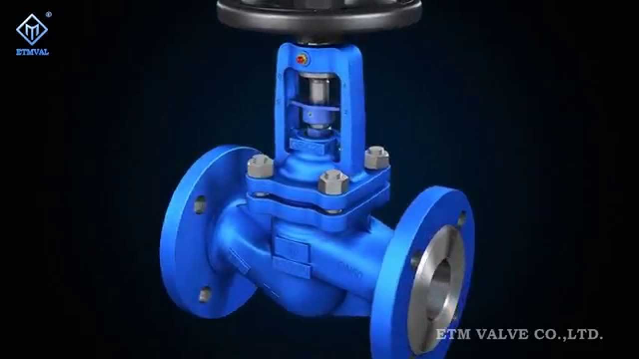 ETM DIN Bellows Globe Valve 1