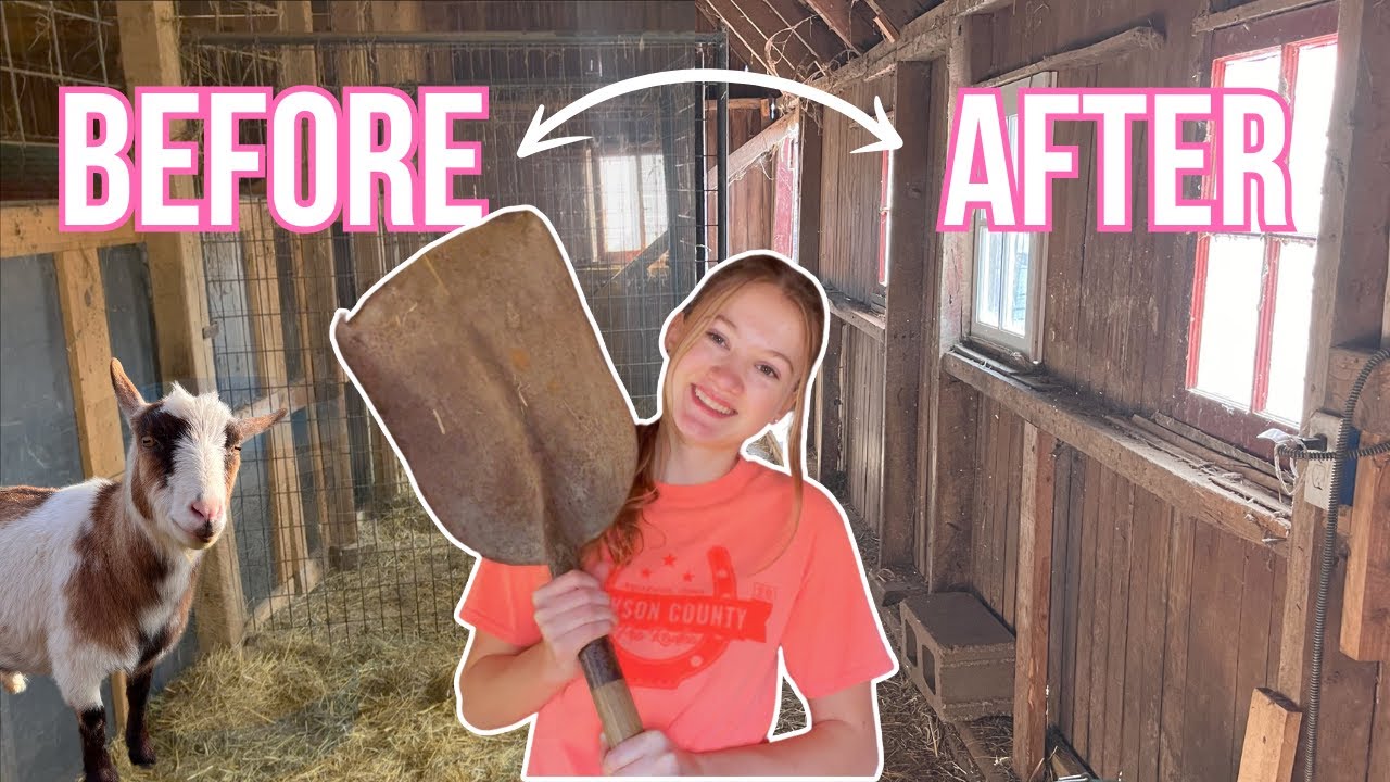 IT'S ALMOST KIDDING TIME! Deep cleaning the kidding barn!