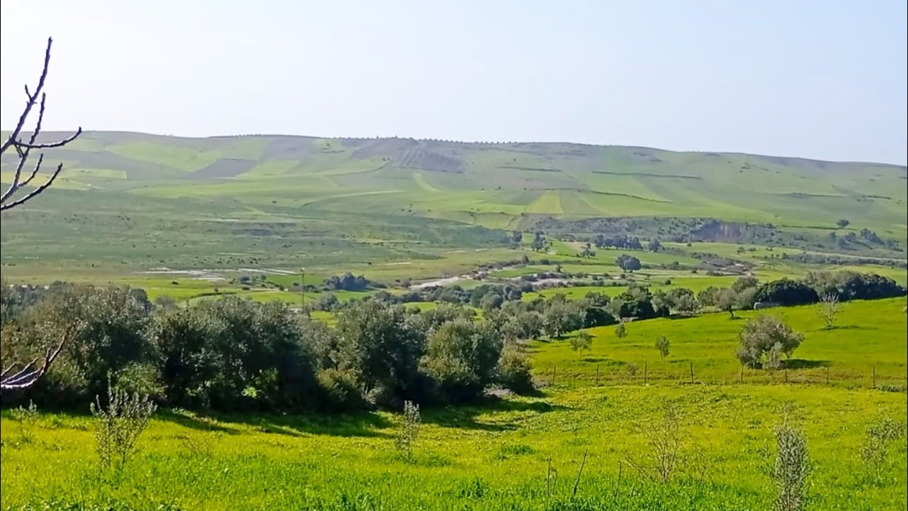 راحة البال.. استرخِ مع سحر الطبيعة والبساطة في بلاد والدي 🌿✨